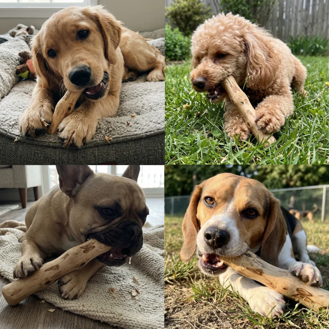 CoffeeRoot™ Wooden Chew Stick