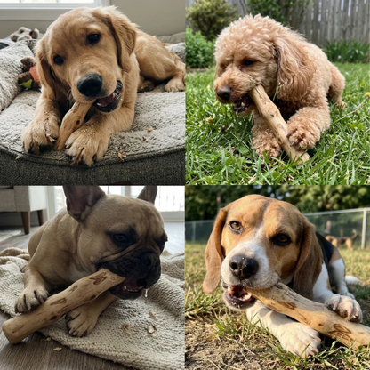 CoffeeRoot™ Wooden Chew Stick
