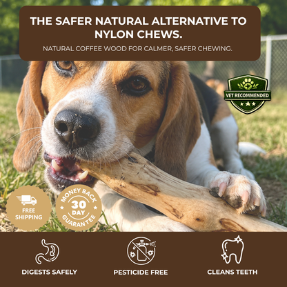 CoffeeRoot™ Wooden Chew Stick
