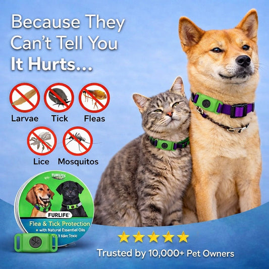 FurLife™