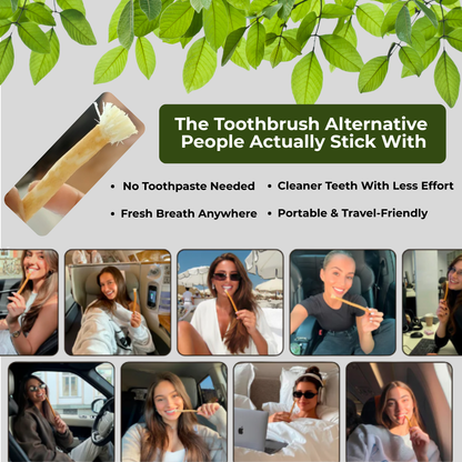 Natural Miswak Toothbrush